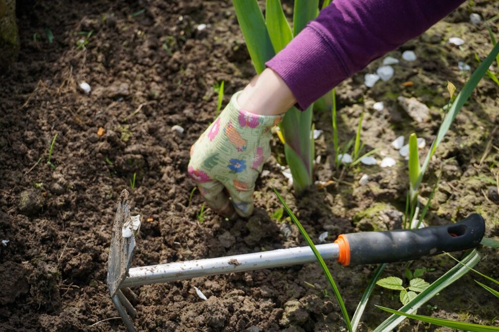 Aan de slag in de tuin