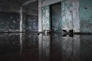 Komt het water in je kruipruimte door grondwater of regenwater? Lees de verschillen, oorzaken, gevolgen en oplossingen.